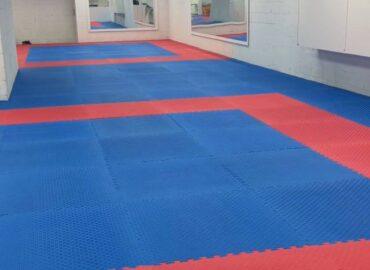Taekwondo sparring practice in Toronto